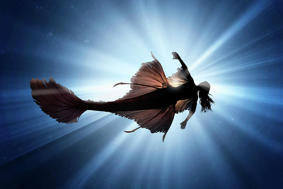Mermaid Silhouette Digital Art by Pelo Blanco Photo