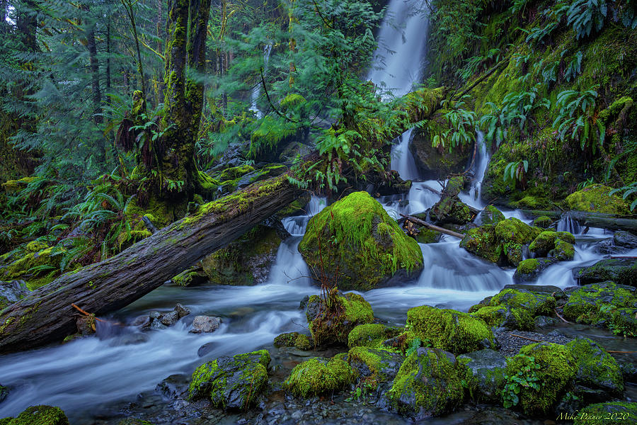 Merriman Falls 2-20 AA Photograph by Mike Penney - Pixels