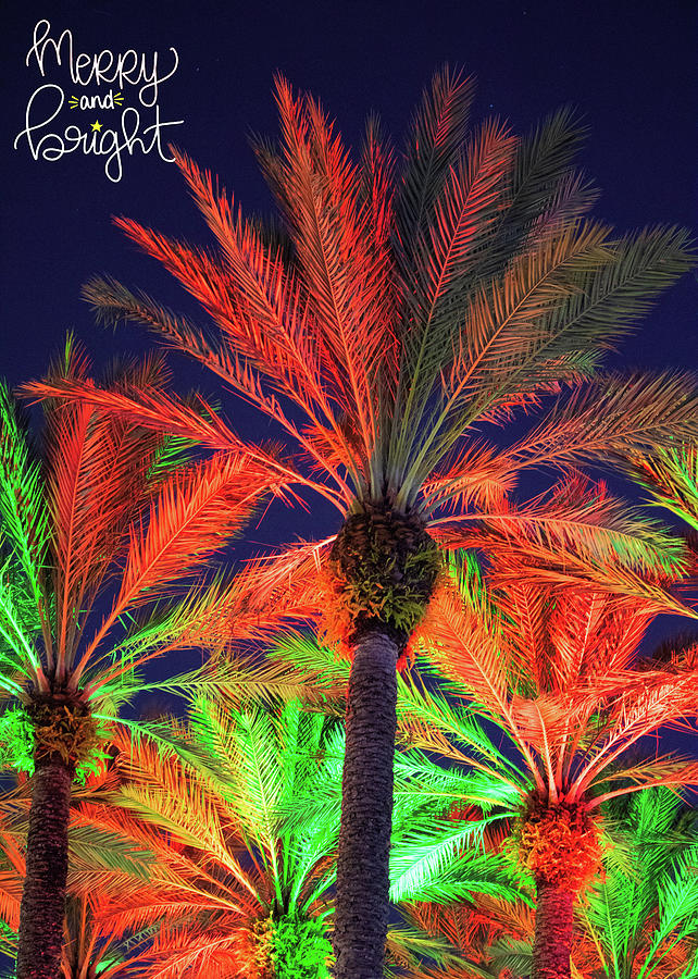 Merry and Bright Christmas Palms Photograph by Robert Wilder Jr