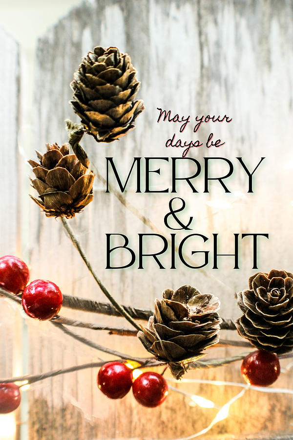 Merry and Bright Christmas Photograph by W Craig Photography