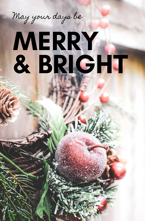 Merry and Bright Photograph by W Craig Photography