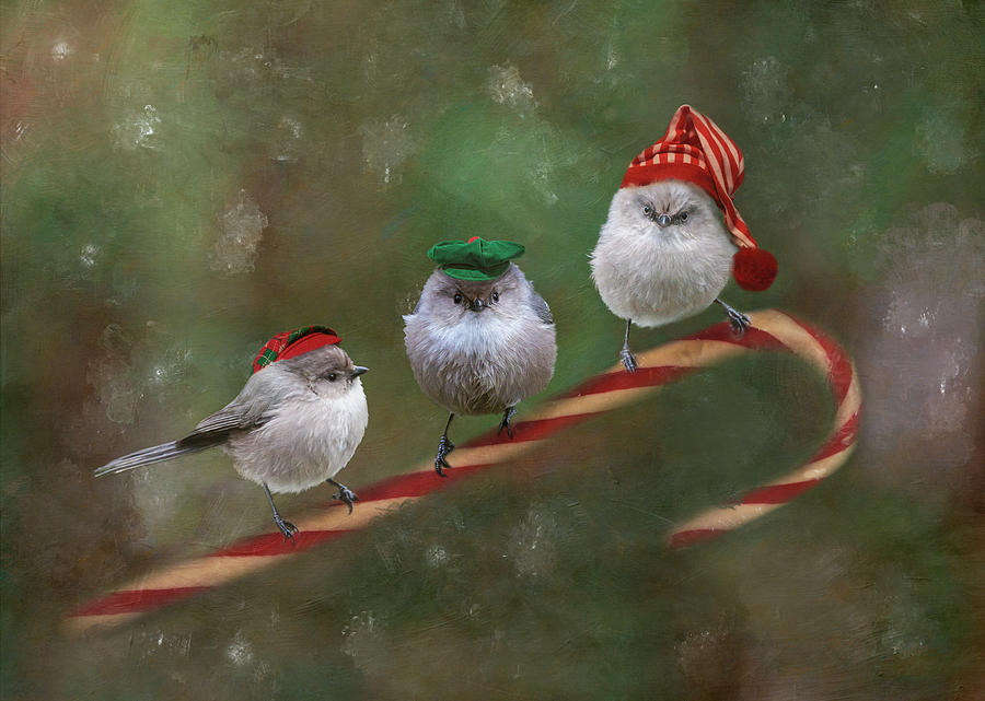 Merry Bushtits Photograph by Angie Vogel