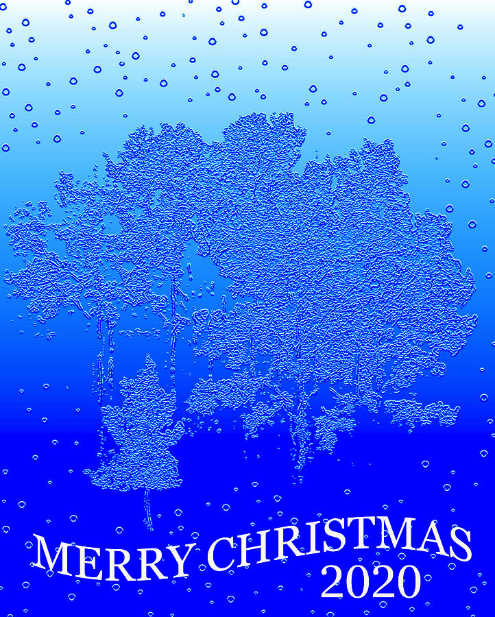 Merry Christmas 2020 Big Snow card Mixed Media by David Lee Thompson