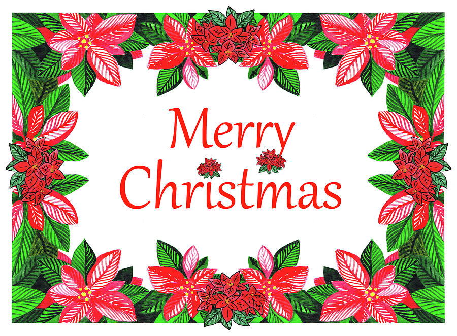Merry Christmas And Happy Holidays Watercolor Poinsettia Painting by Irina Sztukowski