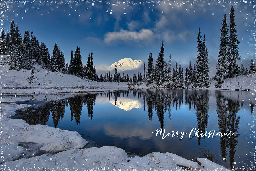 Merry Christmas at Lake Tipsoo Photograph by Lynn Hopwood