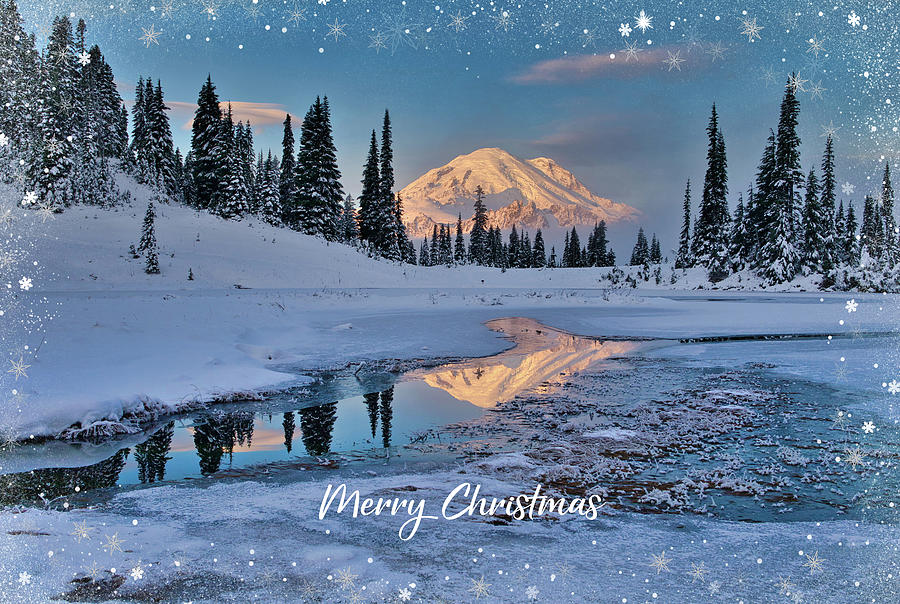 Merry Christmas at Mount Rainier Photograph by Lynn Hopwood