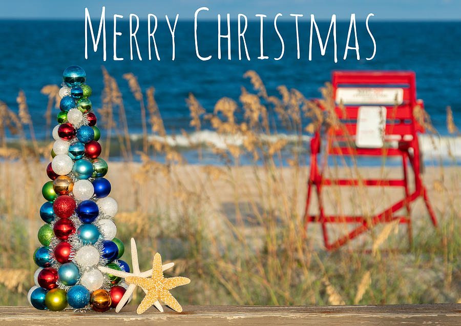 Merry Christmas Beach Christmas Card Photograph by Dawna Moore Photography