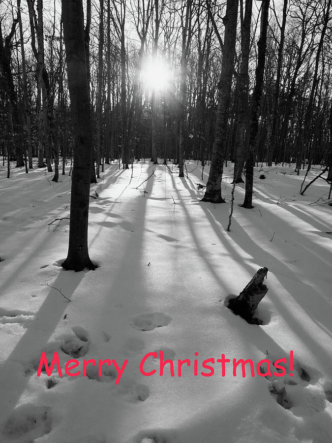Merry Christmas Black and White Photograph by James C Richardson