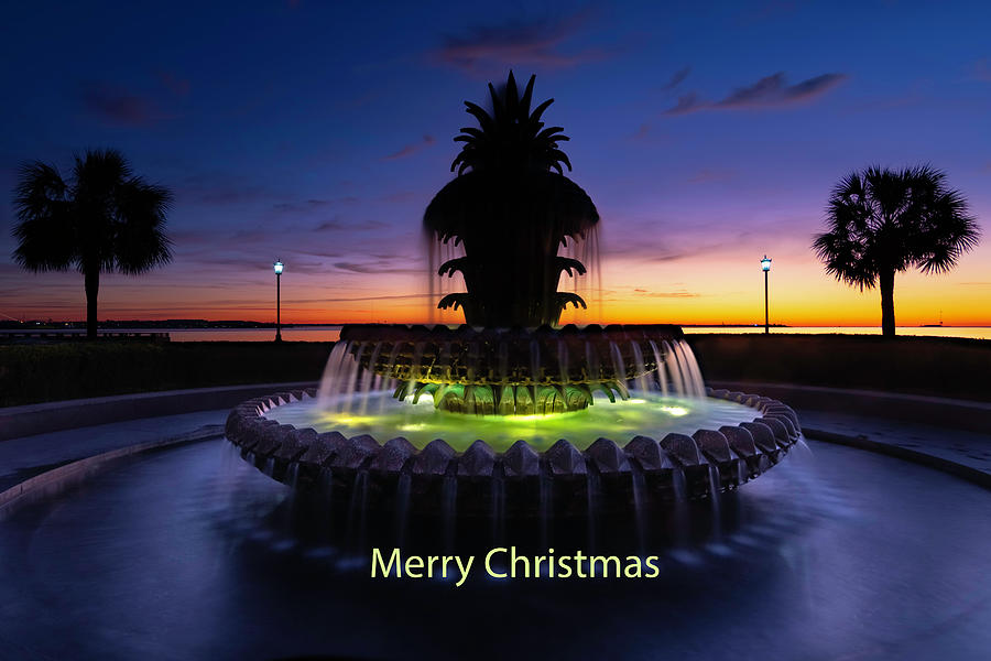 Merry Christmas from Charleston Photograph by Norma Brandsberg