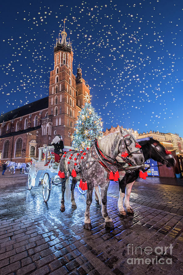 Architecture Photograph - Merry Christmas from Krakow, 2019 by Juli Scalzi