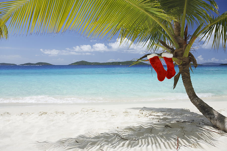 Merry Christmas from the Caribbean Photograph by Cdwheatley