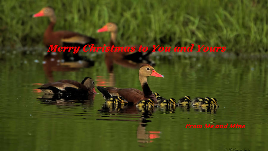 Merry Christmas From the Whistlers Photograph by Dorothy Cunningham