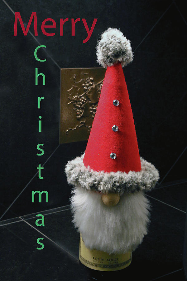 Merry Christmas Gnome Card Photograph by Dennis Baswell