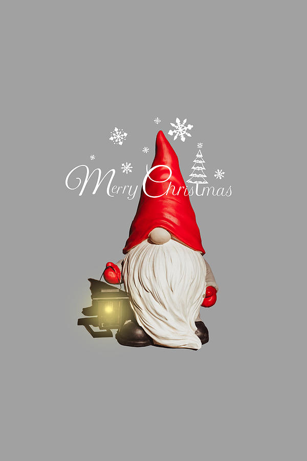 Merry Christmas Gnome Photograph by Joni Eskridge