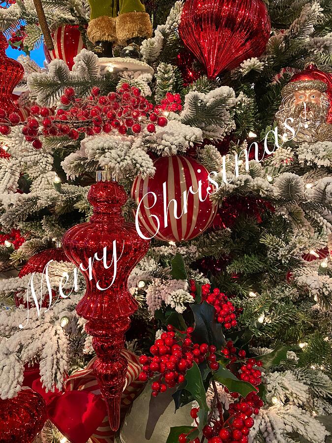 Merry Christmas Greeting  Photograph by Jerry Abbott