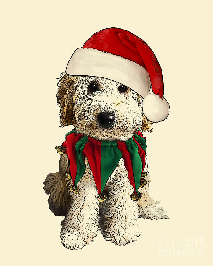 Christmas Digital Art - Merry Christmas Labradoodle by Madame Memento