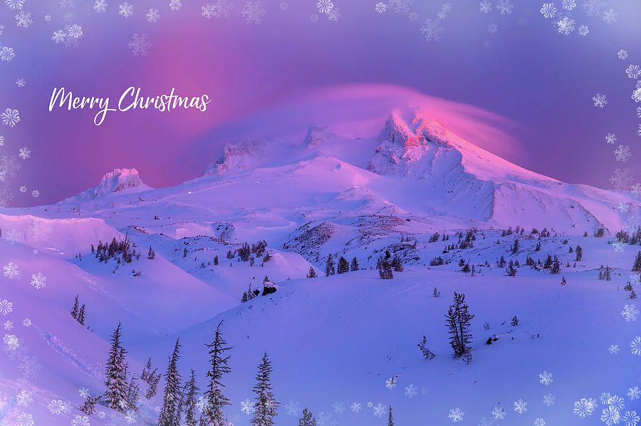 Merry Christmas Mount Hood Photograph by Lynn Hopwood