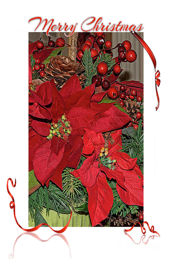 Merry Christmas Poinsettia,Poinsettia Flower,Merry Christmas Mixed Media by Walter Herrit