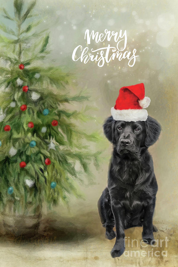 Merry Christmas Puppy Photograph by Amy Dundon