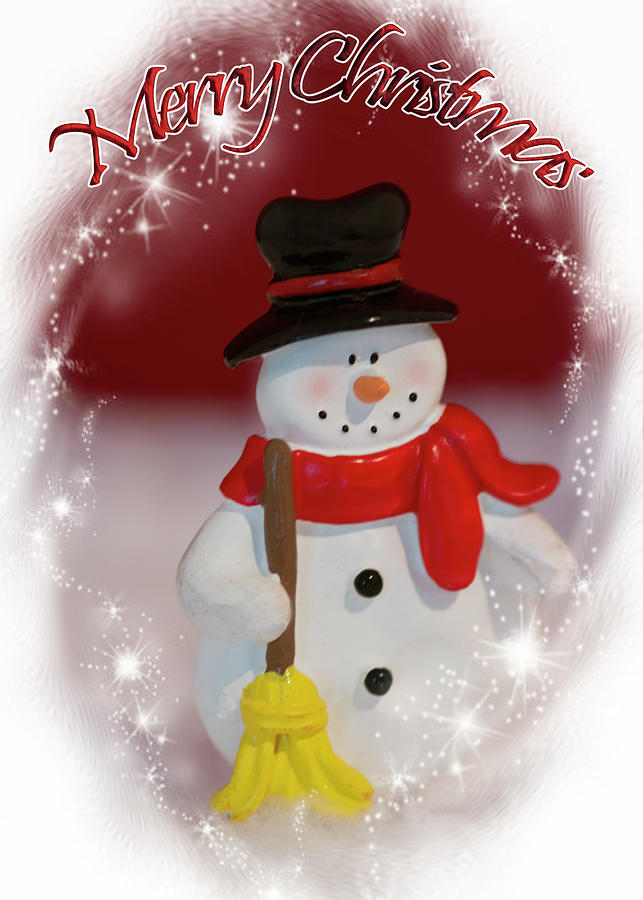 Merry Christmas Snowman Photograph by LeeAnn McLaneGoetz McLaneGoetzStudioLLCcom