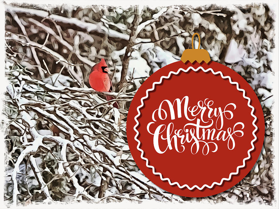 Merry Christmas With Snow And Cardinal Bird Digital Art