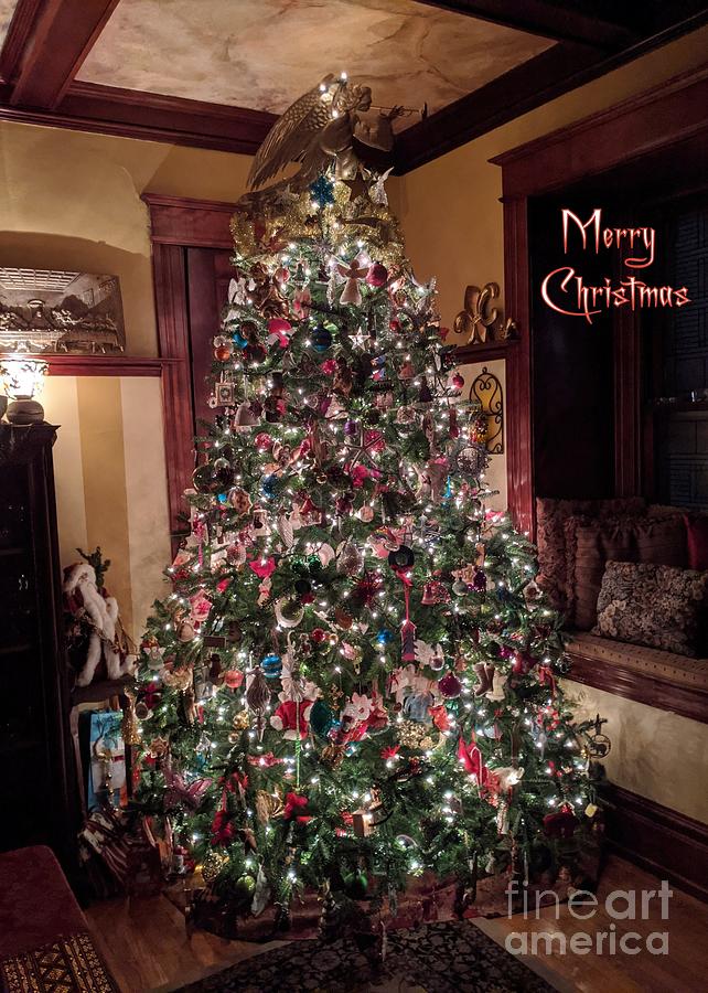 Merry Christmas with Tree Photograph by Jodie Marie Anne Richardson Traugott          aka jm-ART