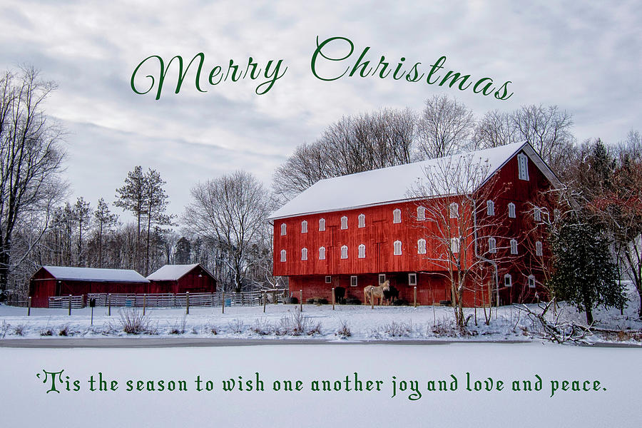 Merry Christmas at Hartong Homestead  Photograph by Rosette Doyle