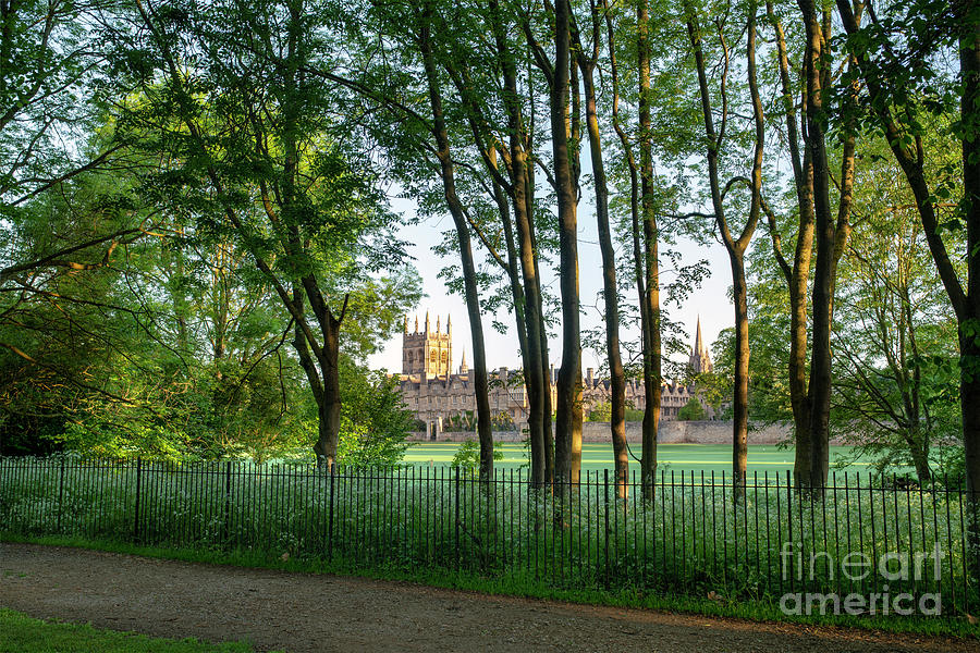 Merton College from Christ Church Meadow Walk at Sunrise Photograph by Tim Gainey