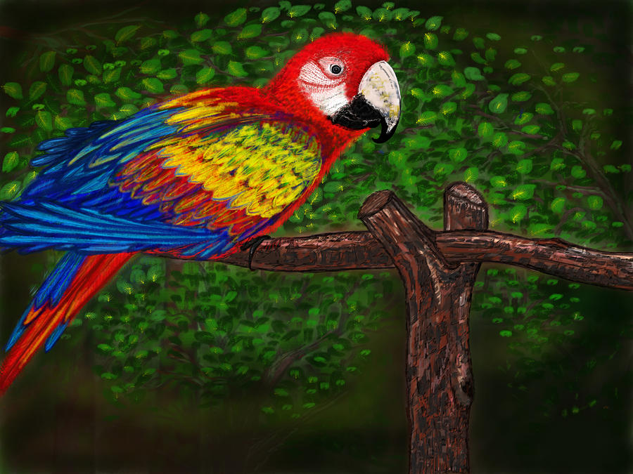 Merz Parrot Digital Art by Ankita Gupta - Fine Art America