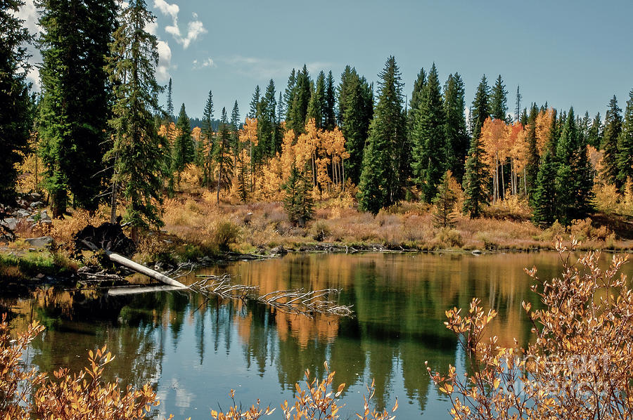 Mesa Lake I Photograph by John Bartelt - Pixels