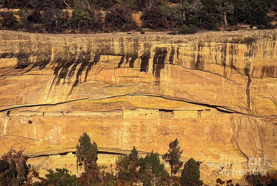 Mesa Verda Cliff Dwellings Photograph by Bob Phillips