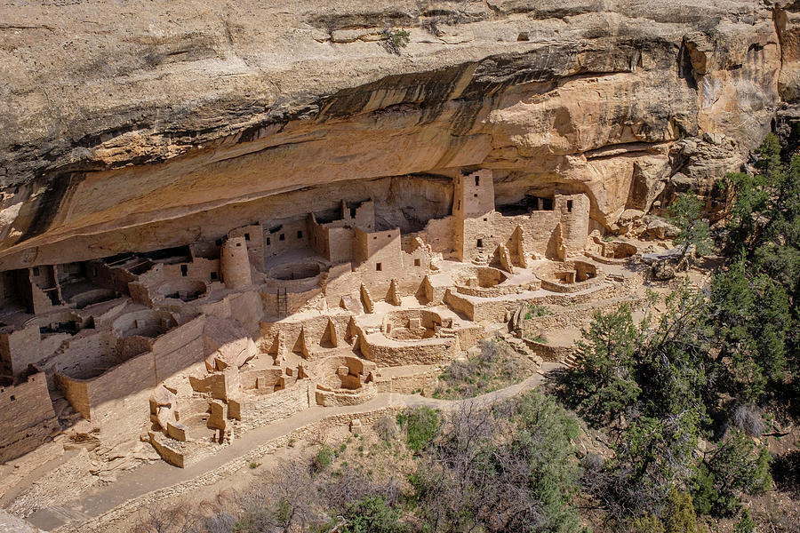 Mesa Verde Cliff Palace Photograph by Mary Lee Dereske