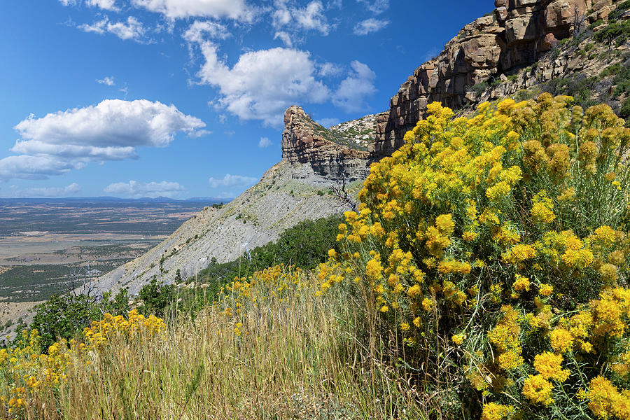 Nature Photograph - Mesa Verde National Park Colorado 2 by Ricky Barnard