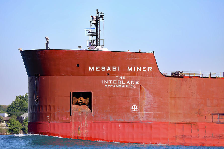 Mesabi Miner Detail 061321 Photograph by Mary Bedy