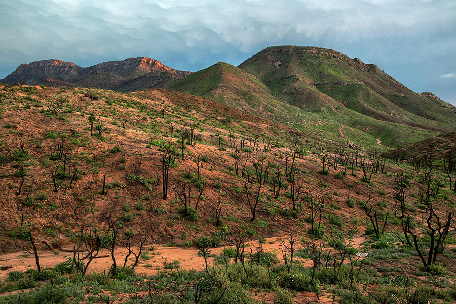 Mescal Mountains at El Capitan AZ Photograph by Dave Dilli