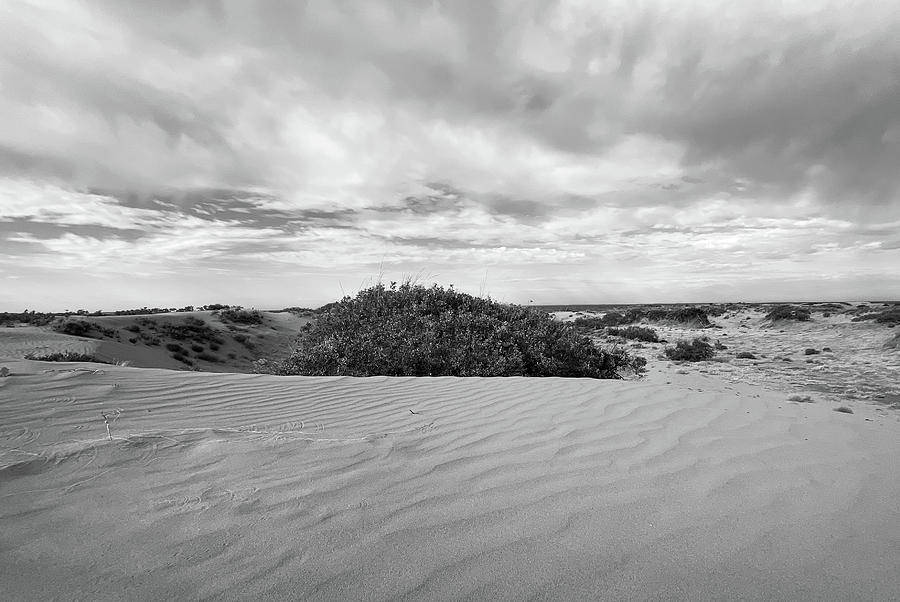 Mescalero Sands Untitled 1, Maljamar, New Mexico Photograph by Richard Porter
