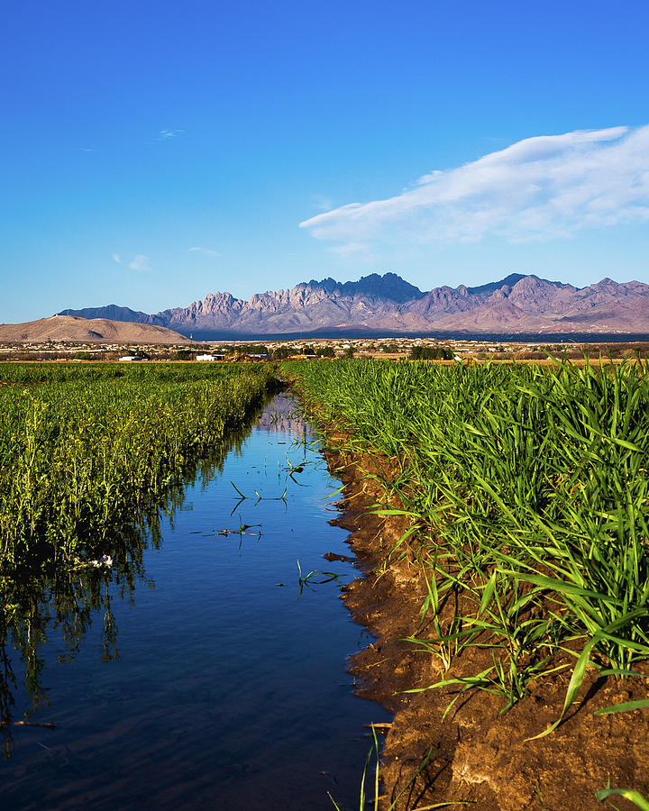 Mesilla Valley Farmland Photograph By Monica Guidi Fine Art America   Mesilla Valley Farmland Monica Guidi 