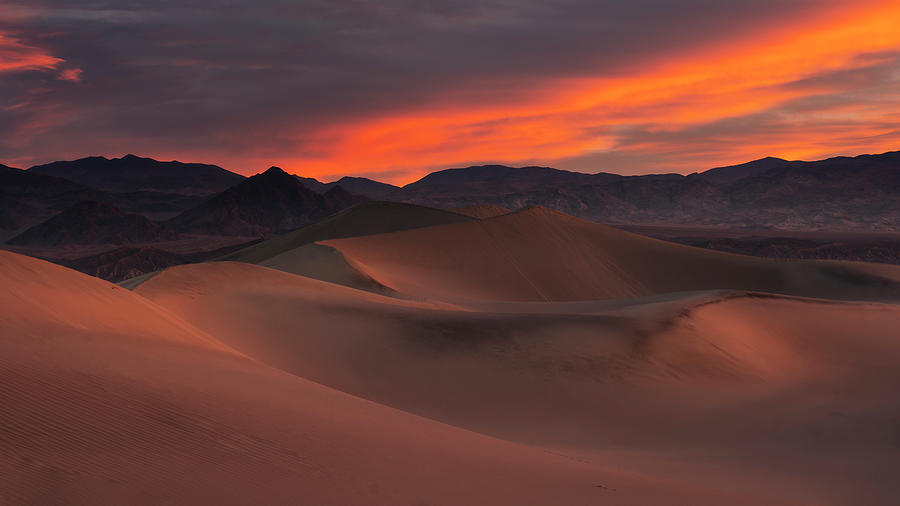 Mesquite Dawn Photograph by Ryan Manuel