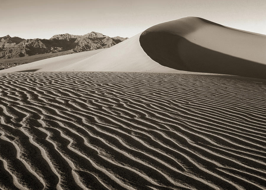 Mesquite Dunes #1 BW Photograph by Tom Daniel