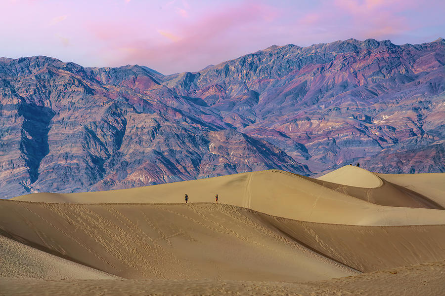 Mesquite Dunes at Death Valley Photograph by Lindsay Thomson