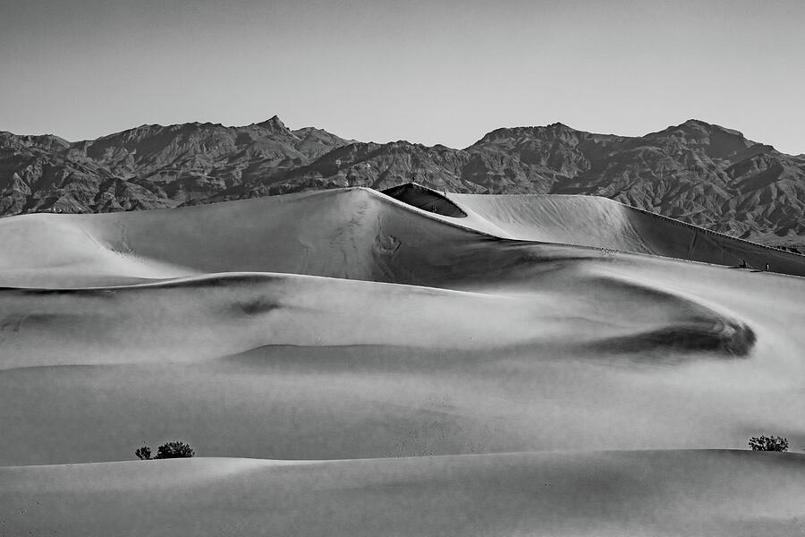 Mesquite Dunes Black and White Photograph by Bill Gallagher