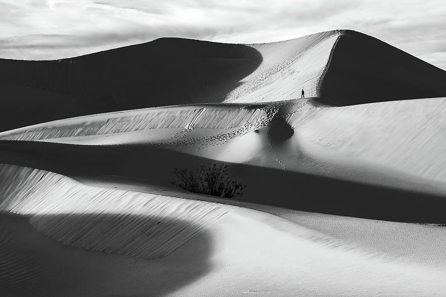 Lone Hiker on Dunes bw Photograph by Jonathan Nguyen