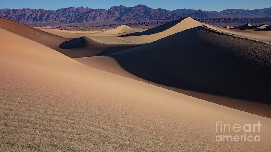 Mesquite Dunes Death Valley Photograph by Dustin K Ryan