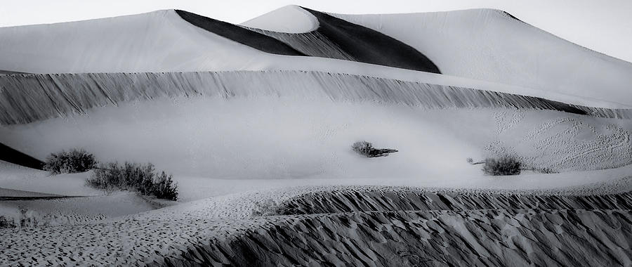 Mesquite Dunes in Death Valley Black and White Photograph by Rebecca Herranen
