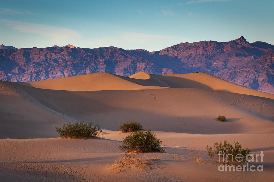 Mesquite Dunes in Death Valley Photograph by Mimi Ditchie