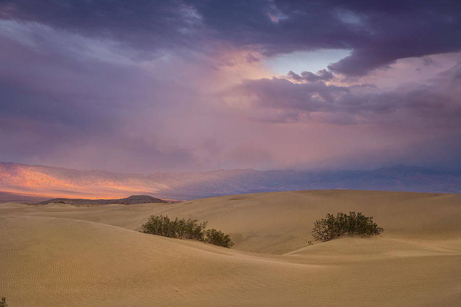 Mesquite Dunes Winter Sunset Photograph by Kunal Mehra