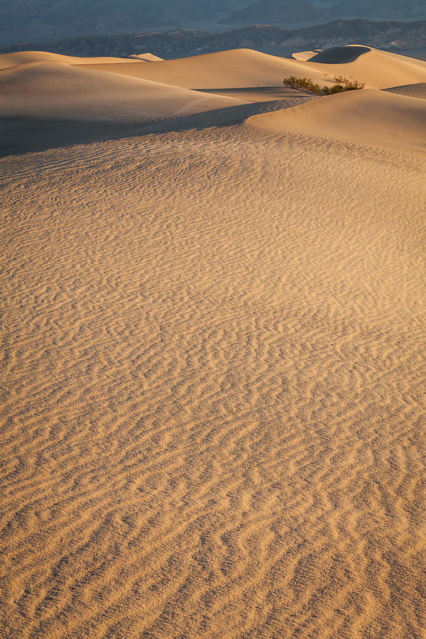 Mesquite Dunes Photograph by Wolfgang Wörndl