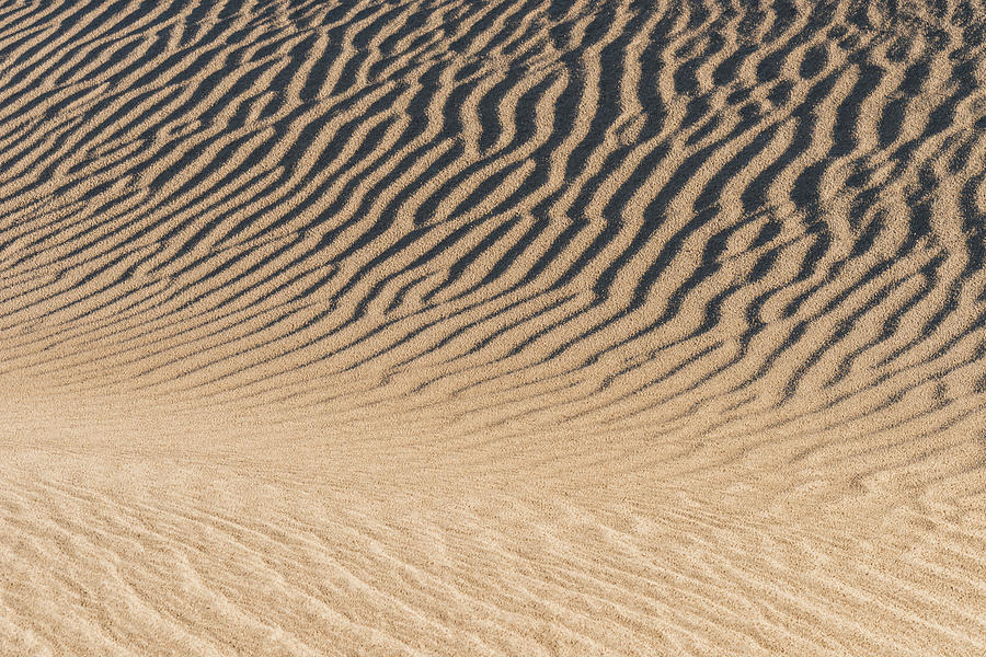Mesquite Flat Sand Dunes #4 Photograph by Ken Weber