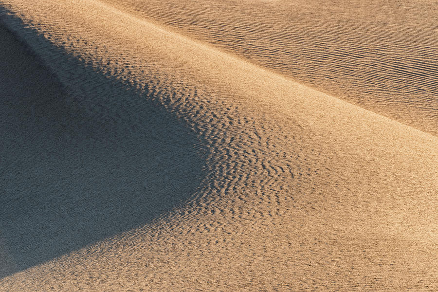Mesquite Flat Sand Dunes #5 Photograph by Ken Weber