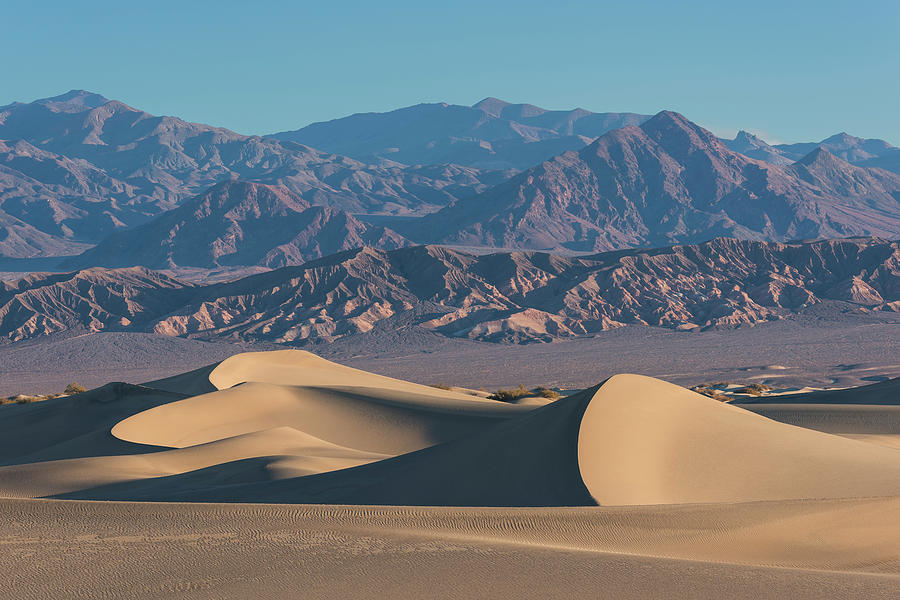 Mesquite Flat Sand Dunes #7 Photograph by Ken Weber